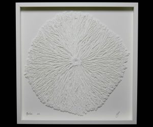 Mycelium - layered paper cut - 2016